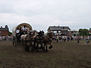 Trekpaardenhappening 2011