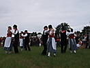 Trekpaardenhappening 2011