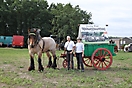 Trekpaardenhappening 2011